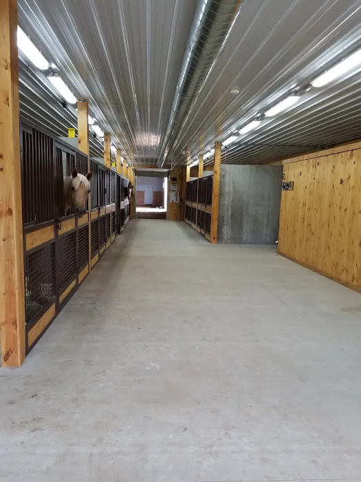 Stoffel Equine Veterinary Clinic Picture 4