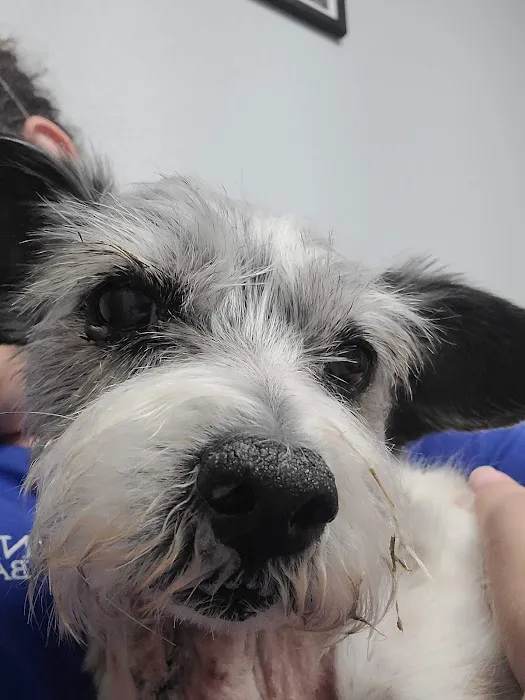 Lake Pepin Pet Clinic Picture 5