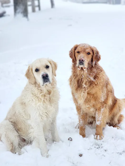 Lake Pepin Pet Clinic Picture 4