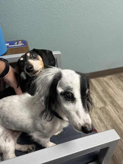 Lake Pepin Pet Clinic Picture 7