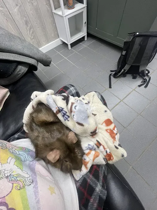 Animal Health Center Picture 4