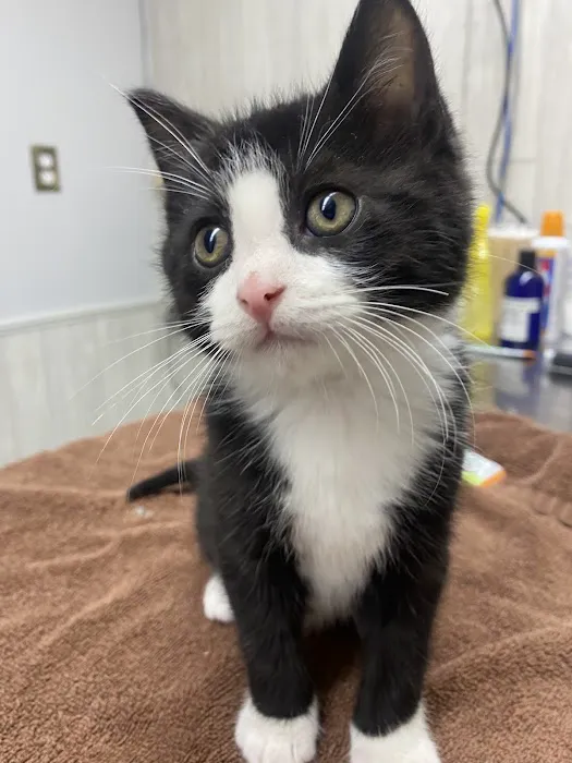 Animal Health Center Picture 7