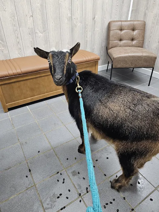 Animal Health Center Picture 8