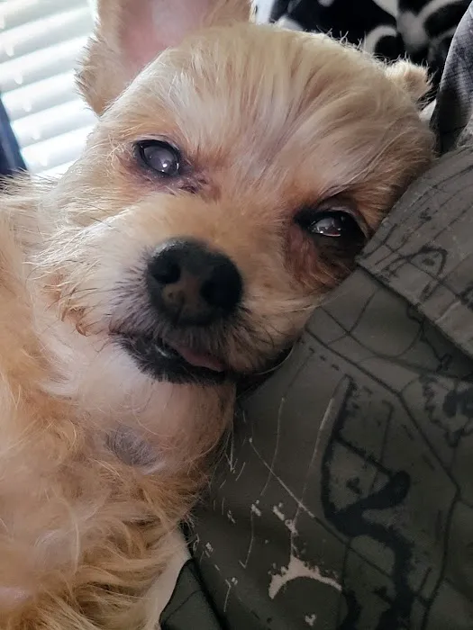 Magnolia Animal Hospital Picture 7
