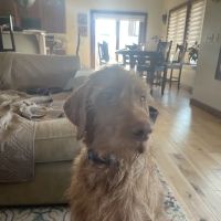 Zumbro Falls Veterinary Clinic ico