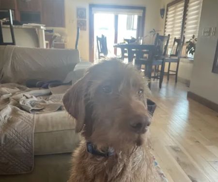 Zumbro Falls Veterinary Clinic