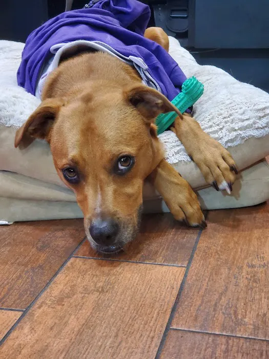 Zumbrota Veterinary Clinic Picture 3
