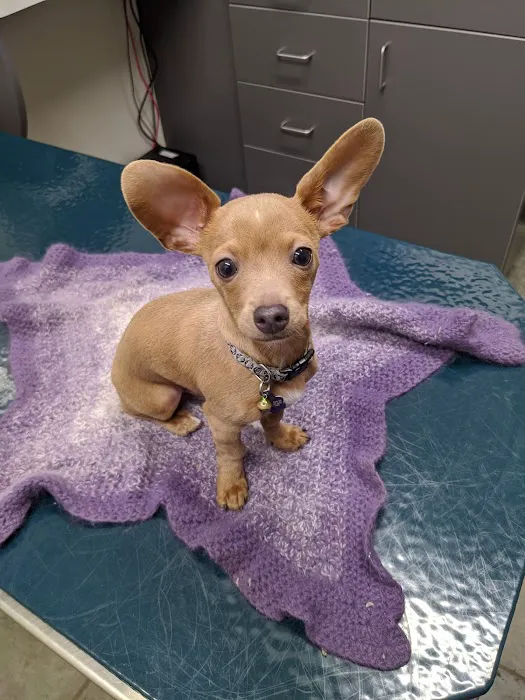 Zumbrota Veterinary Clinic Picture 5
