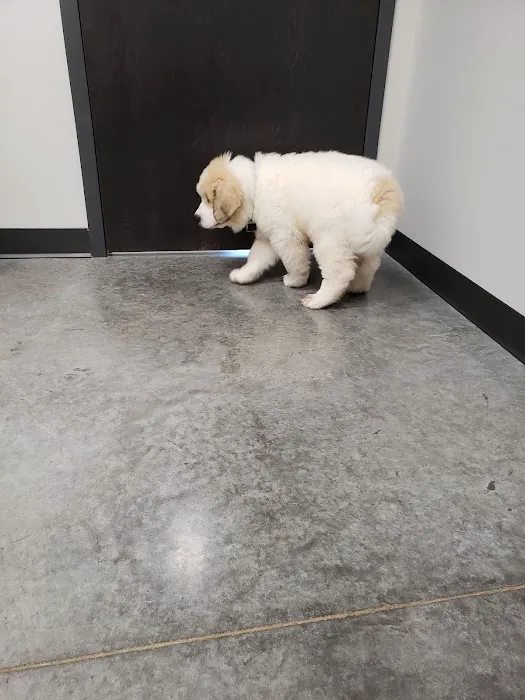 Zumbrota Veterinary Clinic Picture 7