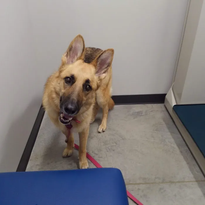 Zumbrota Veterinary Clinic Picture 8