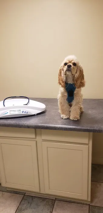 South 71 Veterinary Clinic Picture 2