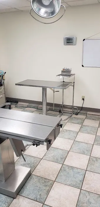 South 71 Veterinary Clinic Picture 3