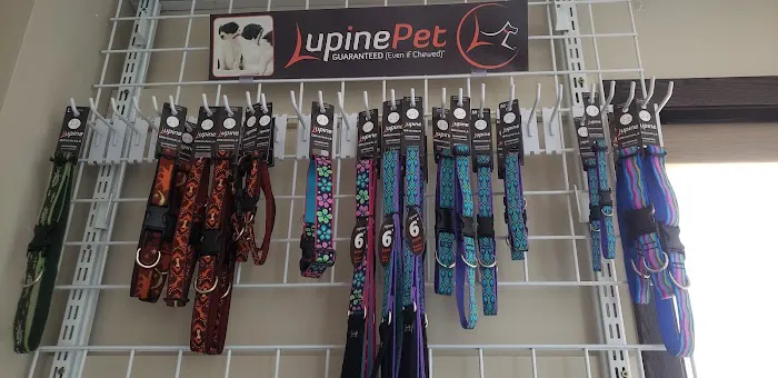 South 71 Veterinary Clinic Picture 5