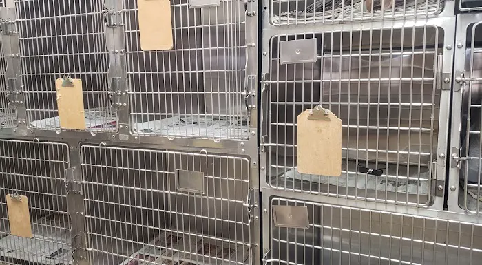 South 71 Veterinary Clinic Picture 8
