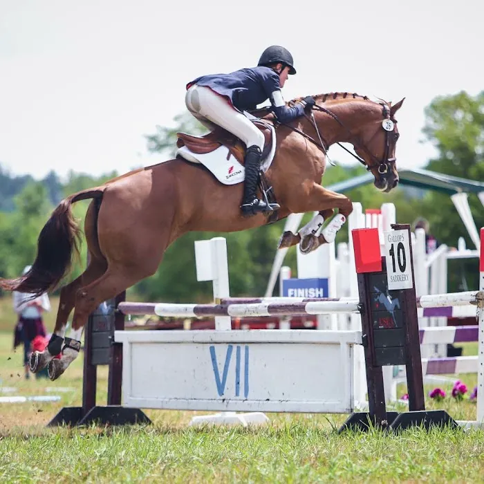 Northwest Equine Specialty Center Picture 2