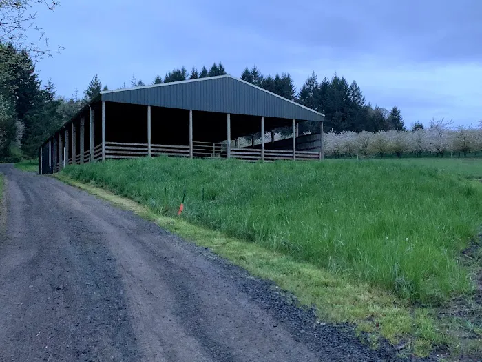 Northwest Equine Specialty Center Picture 7