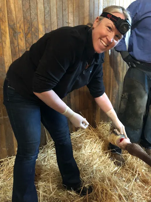 Northwest Equine Specialty Center Picture 4