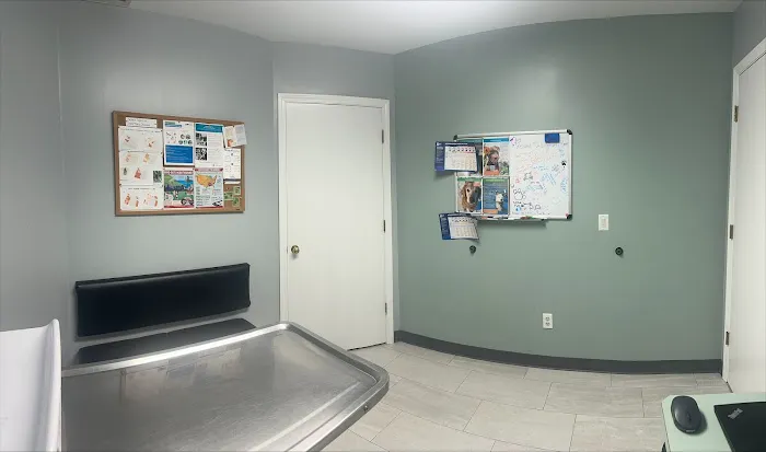 Dallas Animal Clinic Picture 8