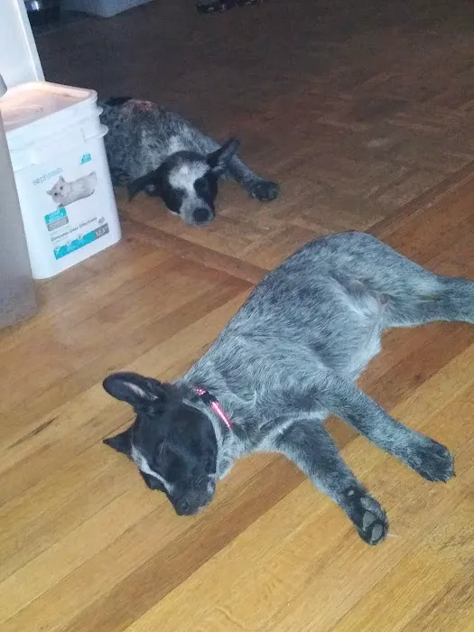 Polk Veterinary Clinic Picture 7