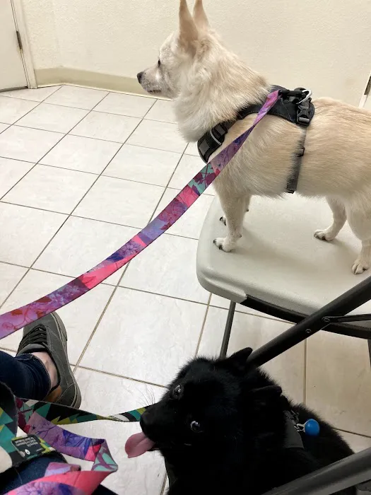 Orchard Animal Hospital Picture 1