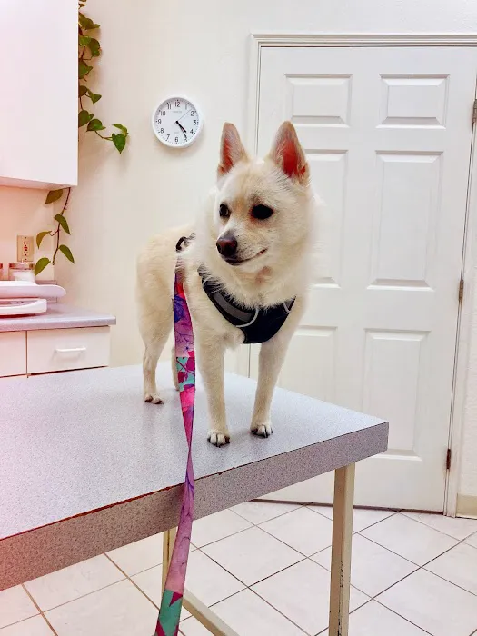 Orchard Animal Hospital Picture 2
