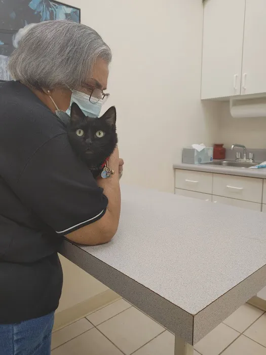 Orchard Animal Hospital Picture 8