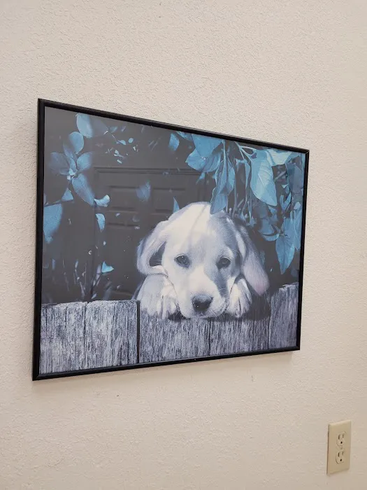 Orchard Animal Hospital Picture 9