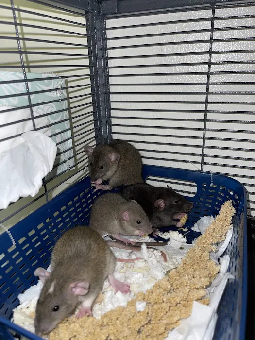 Eastgate Veterinary Clinic Picture 9