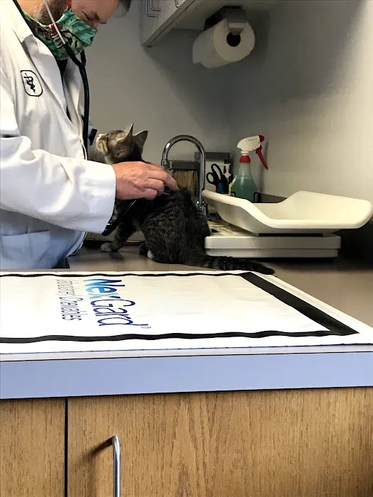 Town & Country Animal Clinic Picture 2