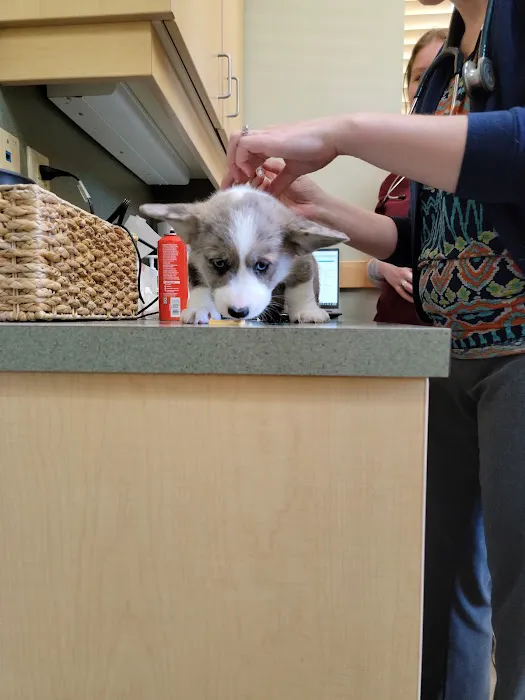 Countryside Animal Clinic Picture 1