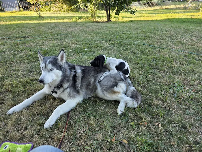 Countryside Animal Clinic Picture 10