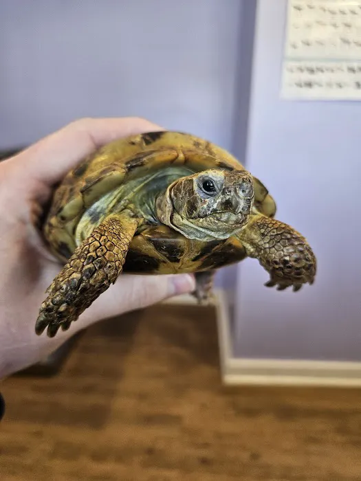 Aspen Companion & Exotics Animal Clinic Picture 1