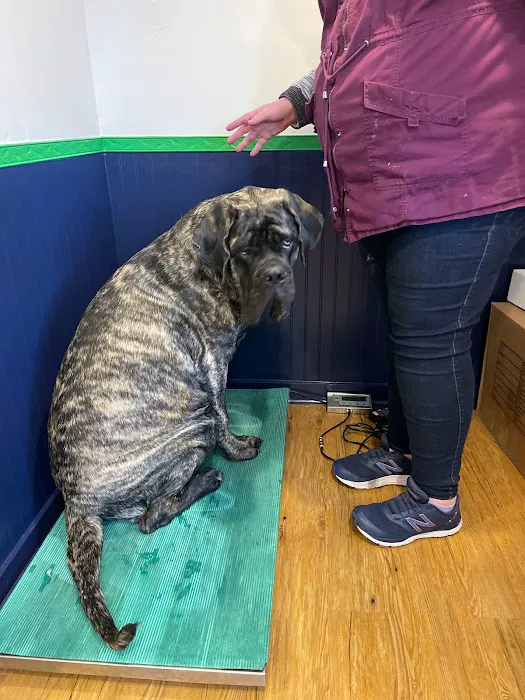 Aspen Companion & Exotics Animal Clinic Picture 8