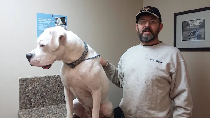 North Shore Animal Hospital Picture 8