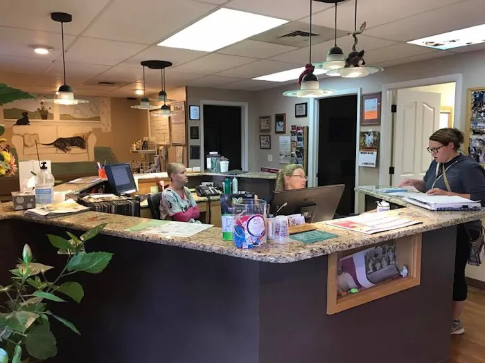 North Shore Animal Hospital Picture 7
