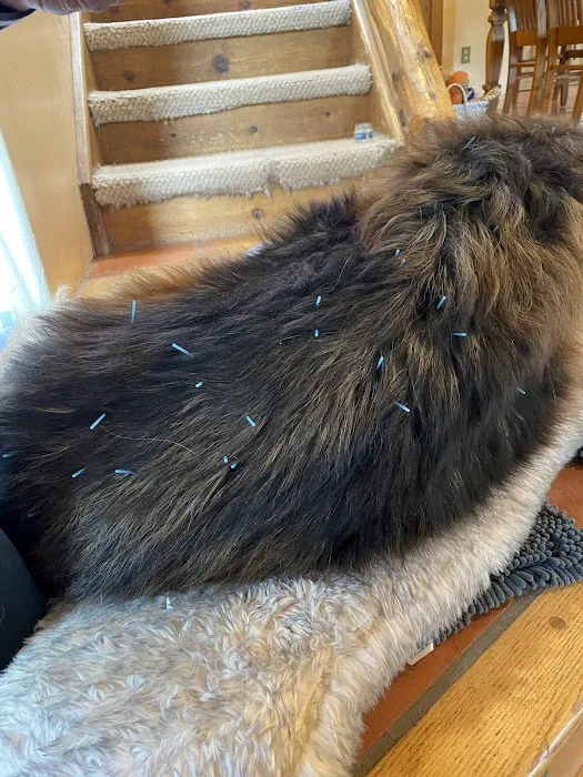 Pets in Motion Mobile Acupuncture Picture 1