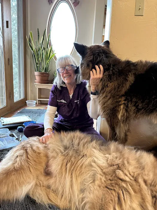 Pets in Motion Mobile Acupuncture Picture 9