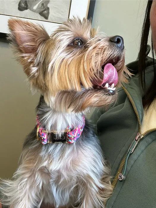 Worthington Animal Clinic Picture 1