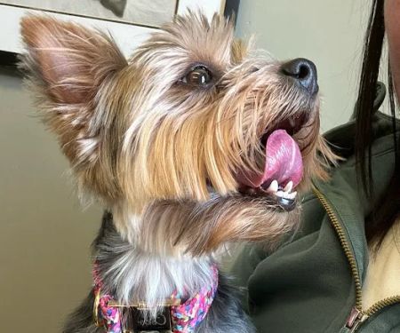 Worthington Animal Clinic