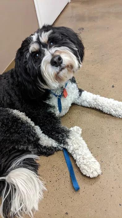 Worthington Animal Clinic Picture 10