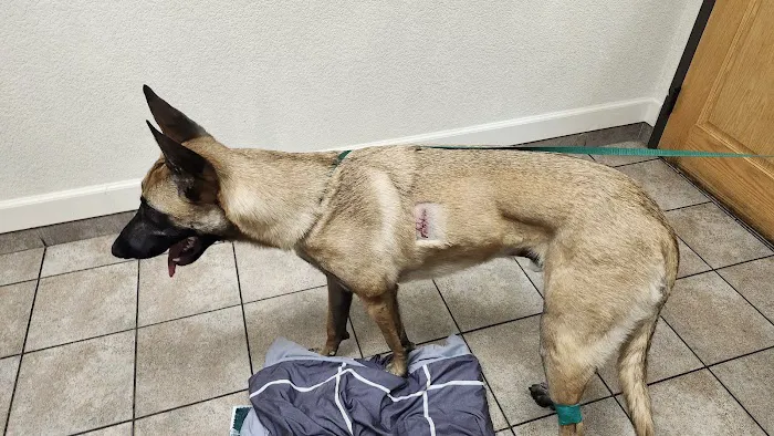 West Ridge Animal Hospital Picture 1