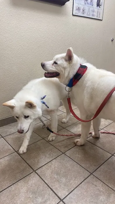 West Ridge Animal Hospital Picture 2