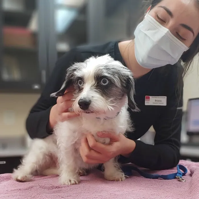 West Ridge Animal Hospital Picture 8