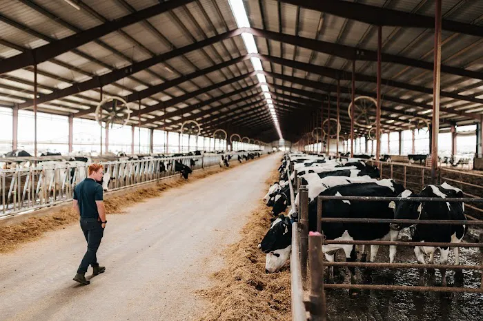 The Dairy Authority LLC Picture 5