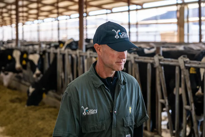 The Dairy Authority LLC Picture 10