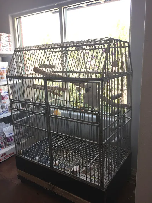 St. Michaels Companion Animal Hospital Picture 9