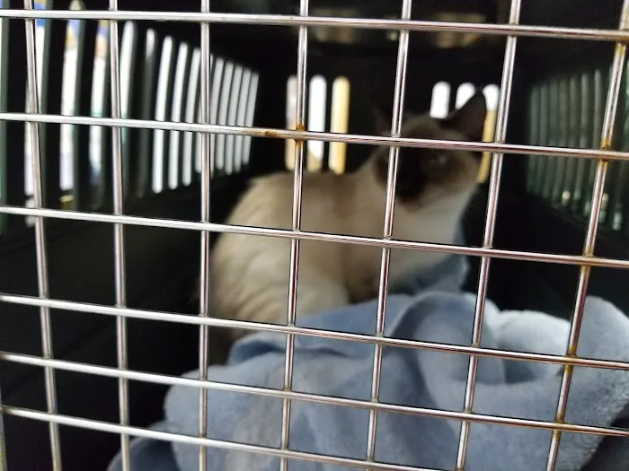 St. Michaels Companion Animal Hospital Picture 8