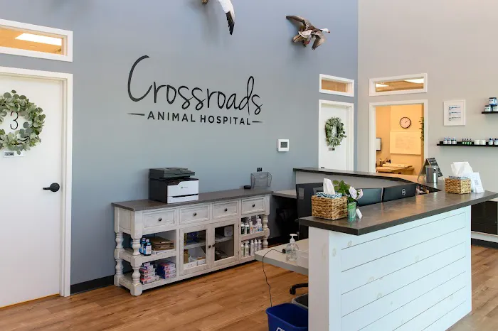 Crossroads Animal Hospital Picture 4