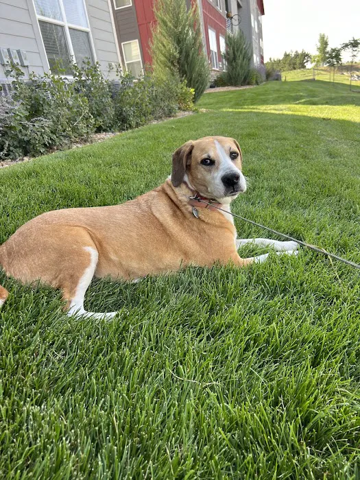 Crossroads Animal Hospital Picture 3
