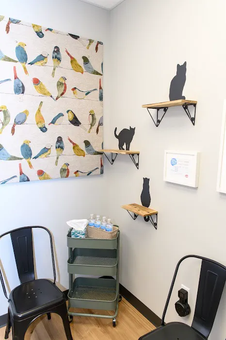 Crossroads Animal Hospital Picture 6